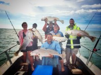 fishing nt coastal charters